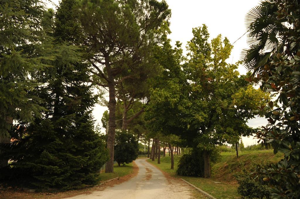 Caterina Residence Faenza Zewnętrze zdjęcie