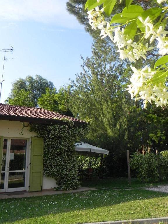 Caterina Residence Faenza Zewnętrze zdjęcie