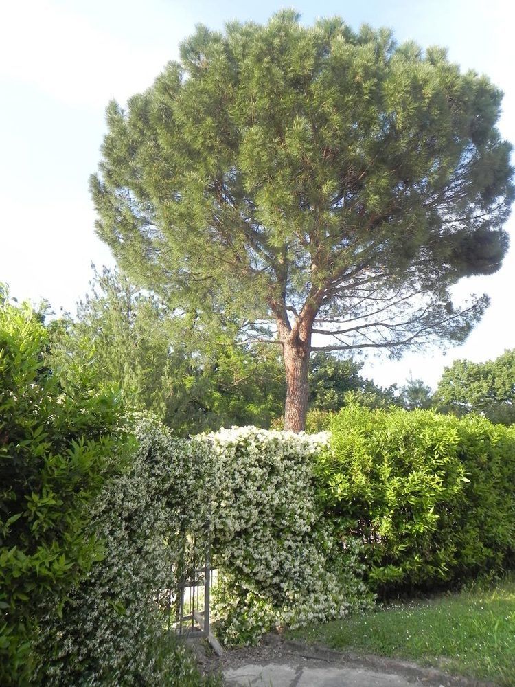 Caterina Residence Faenza Zewnętrze zdjęcie